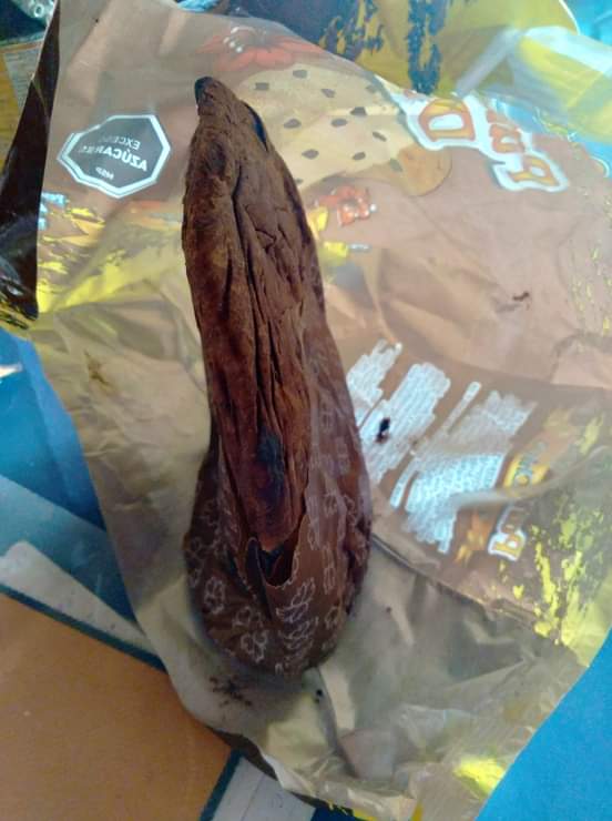 nicolás. tweet media