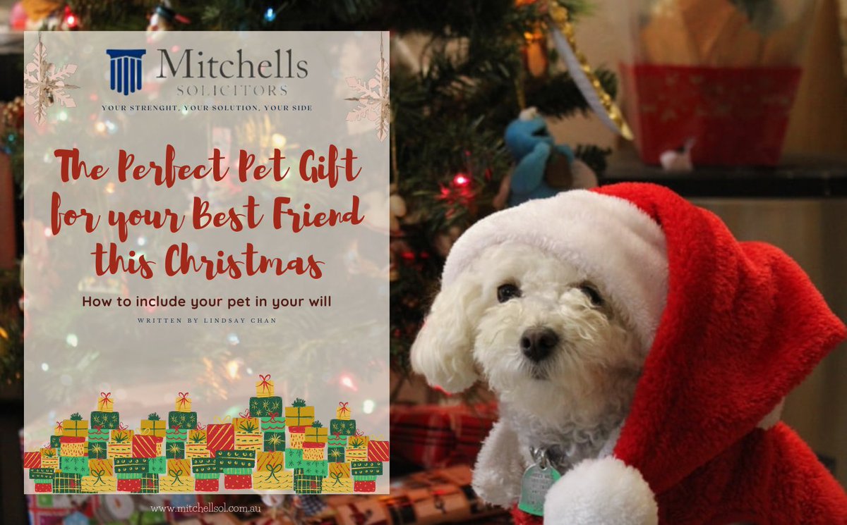 mitchellssol's tweet photo. At Mitchells Solicitors our will experts can give you the best options for you and your pet and make sure that any amendments made are legally binding so take time this Christmas to seek their advice — your pet will thank you.

https://t.co/5gyf0jDIDK

#Christmas
#Christmasgifts https://t.co/QWd7ooMKBs