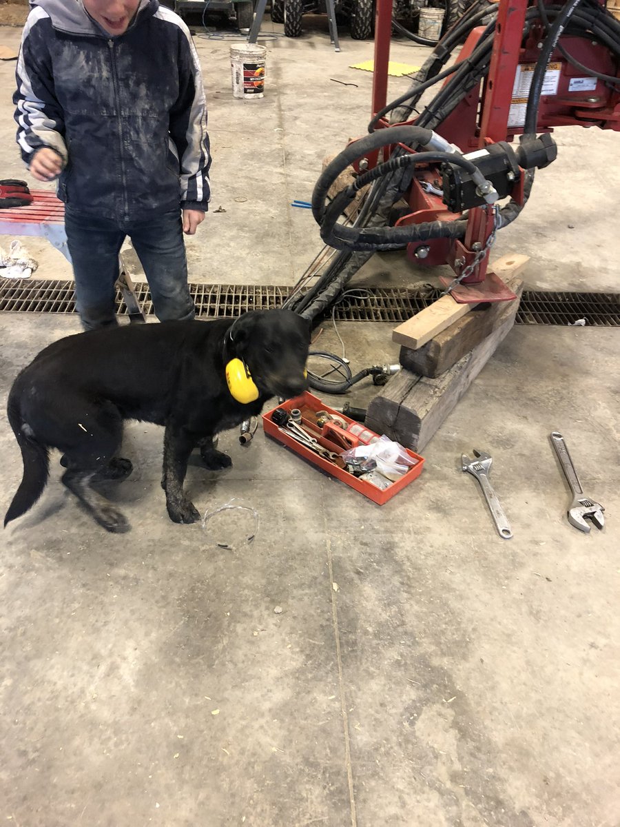 HarmKelly1's tweet photo. @ClarkAgri Not always as productive as possible…. https://t.co/PY0rXMWSfv