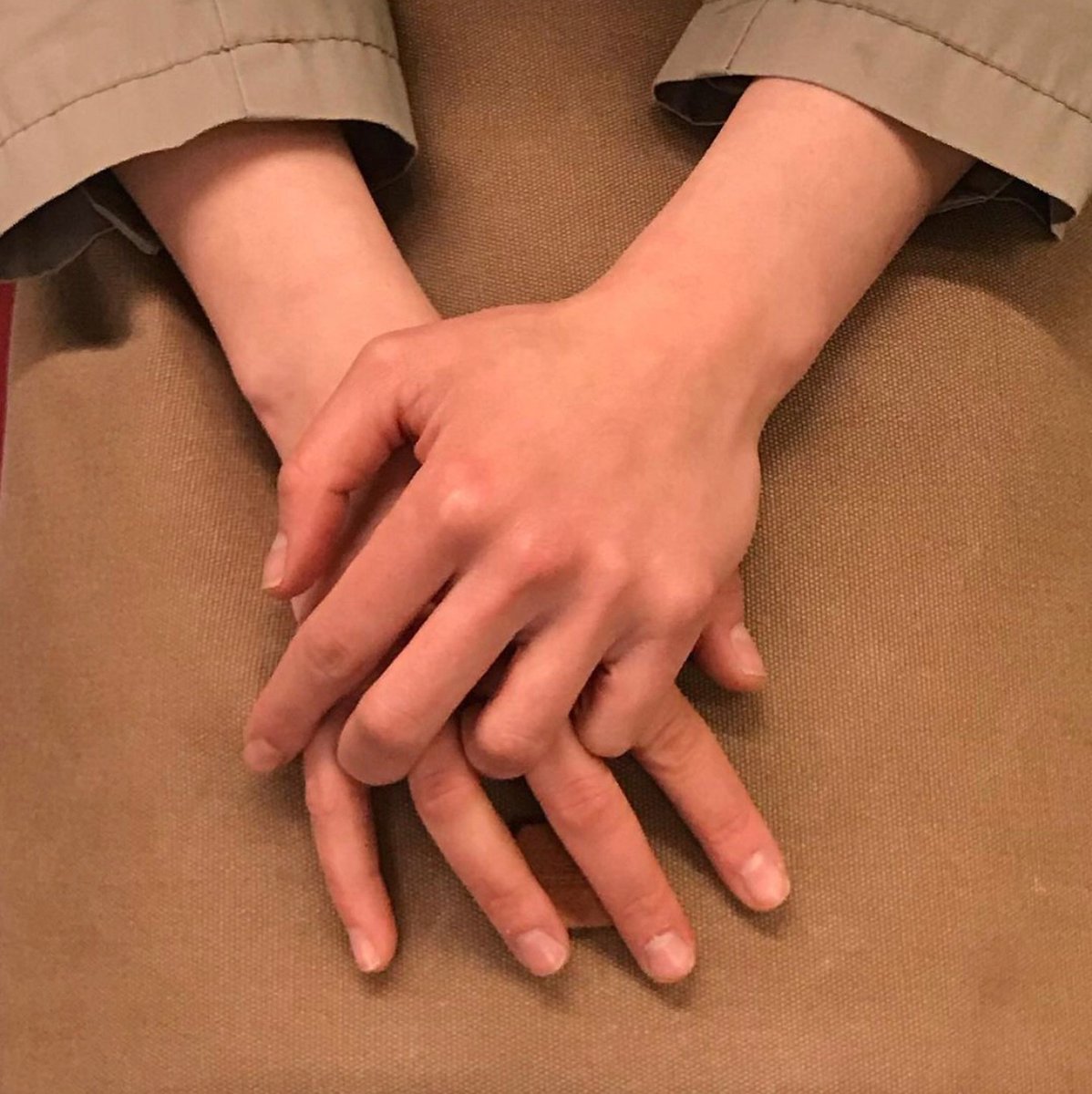 hourly hands 🐼 (@hourlyhands) on Twitter photo 