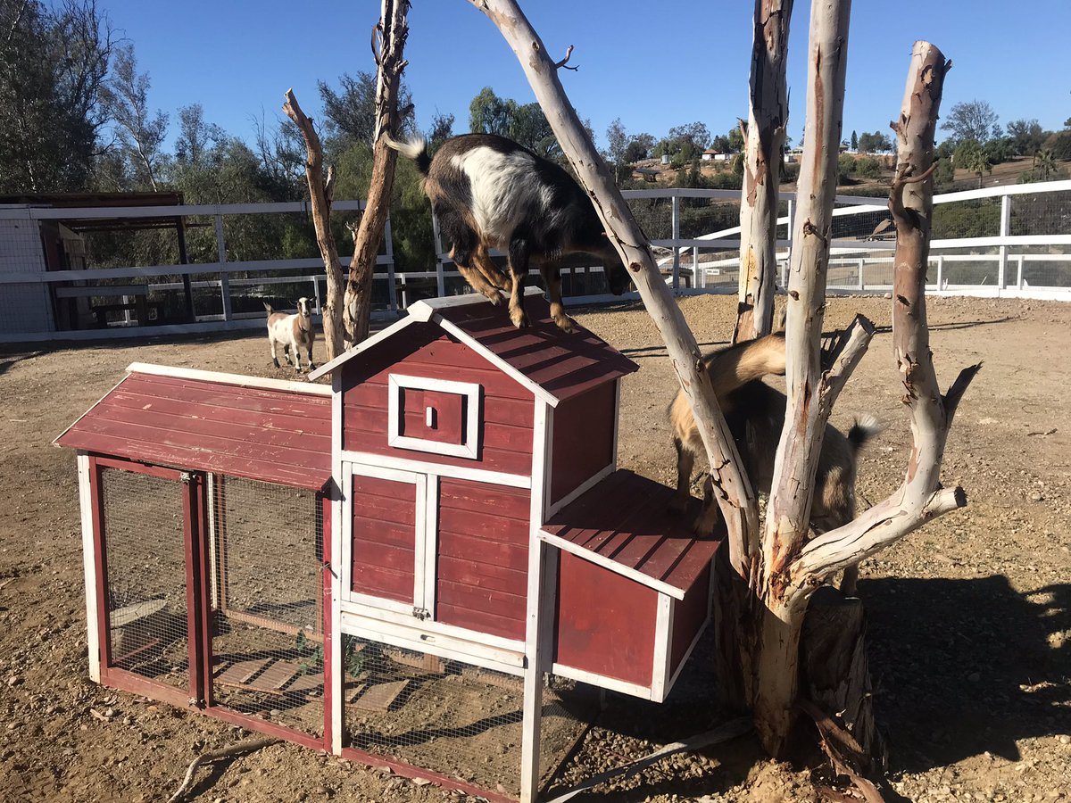 JJ Franey, PhD tweet media