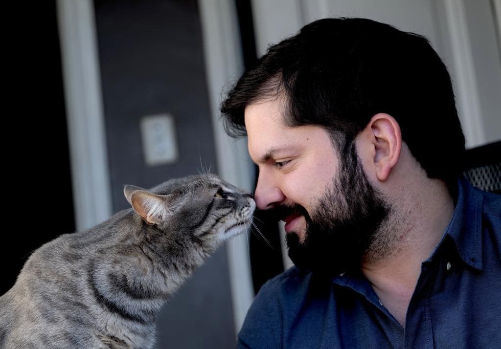 HankSkorpios's tweet image. Esta es la foto que vio y fue amor gatuno a primera vista. Si aunque me respondiera el twit y no hay abrazo, estaría más feliz que niña con 🐱