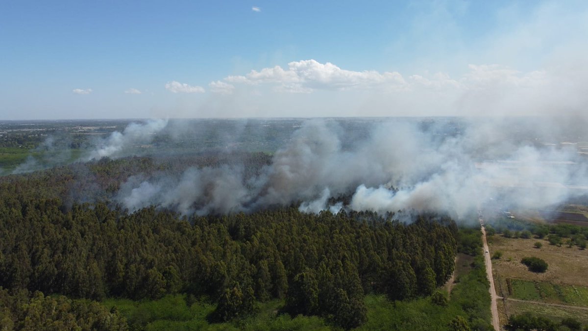 El 29 de noviembre, la asamblea de la Reserva de Biosfera #Pereyra Iraola pidió a las autoridades del Ministerio de Desarrollo Agrario que no talen los arboles que hoy se incendian. Presentaron un pedido de estudio de impacto ambiental al que nunca contestaron. ¿Casualidad?