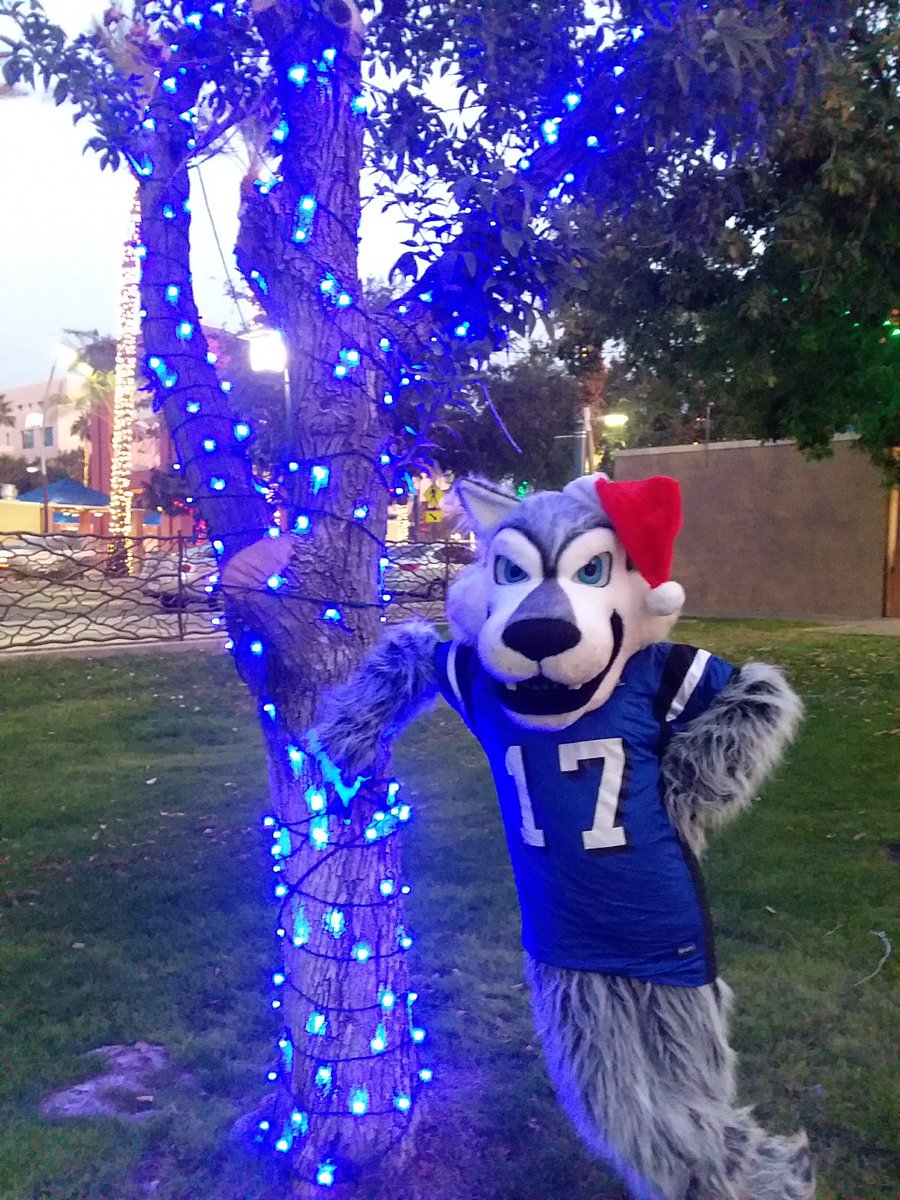 I hope you all have a happy and wonderful holiday and break wolves! Enjoy the time off!

#chandlerhigh #chandlerhighschool #winterbreak