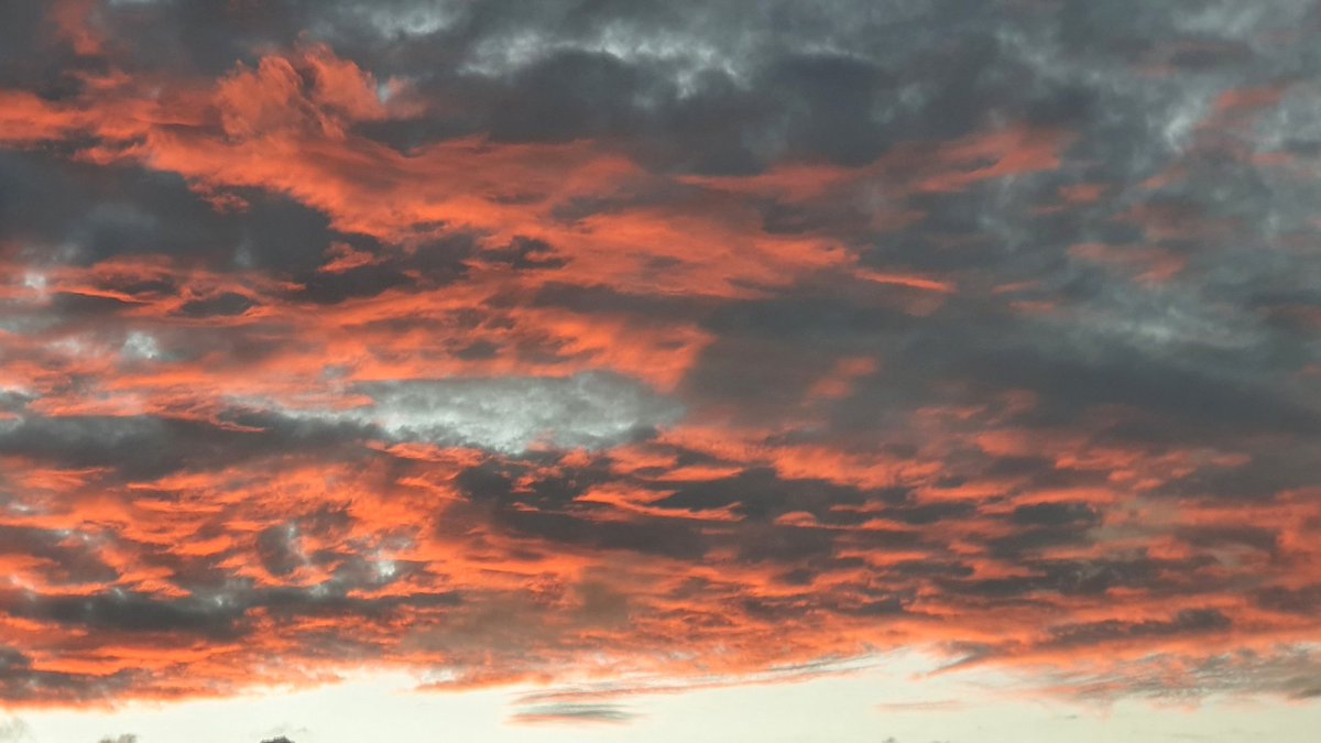 Creature of Culture (@aeranothaur) on Twitter photo 