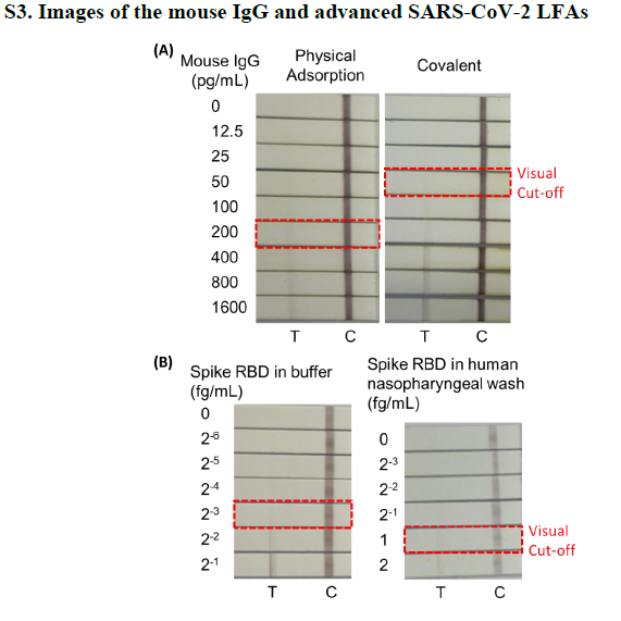 ClaremontBio's tweet photo. Hats off to @UniversityMinnesota along with international colleagues for developing the first reported LFA achieving sensitivity comparable to that of the PCR (aM−zM) by visual reading for detection of the #SARS CoV-2 Antigen using @ClaremontBio’s #ALFRD. https://t.co/OkoNYpKQhl https://t.co/3ugZRz7qs1