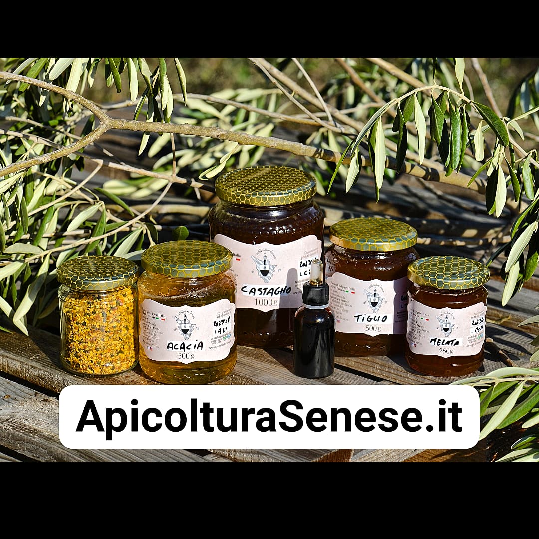 MikeInfinity7's tweet image. instagram.com/apicolturasene…