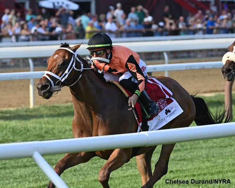 paulickreport's tweet photo. Fast Boat Is ‘Living His Best Life’ While Working Towards Second Career With Rosie Napravnik  #ottbs - Horse Racing News | Paulick Report https://t.co/zrLmzOGNdx https://t.co/morjnYb9lc