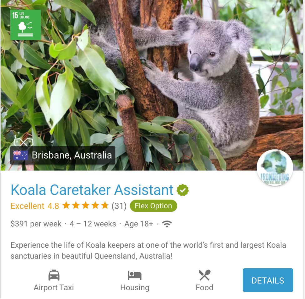 Looking for some #koala #volunteer #opps for the #NewYear?  @volunteerworld has #wildlife programs that may be of interest and even available as #Aus opens up to #travel again. 
🔗 volunteerworld.com/en/volunteer-a… 
🐨🌿
#TravelTuesday #EcoTravel #EcoVolunteer #koalas #Australia