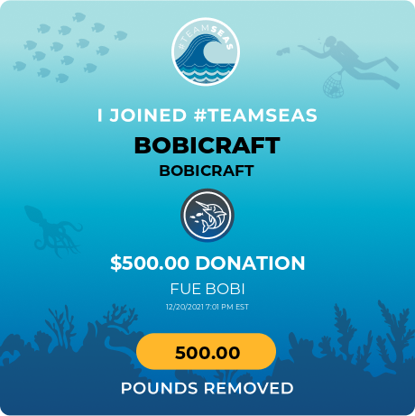 BobInglish's tweet photo. @BobicraftMC 500 dollars for #TeamSeas Let's continue supporting! https://t.co/2lb0NG4Qv3