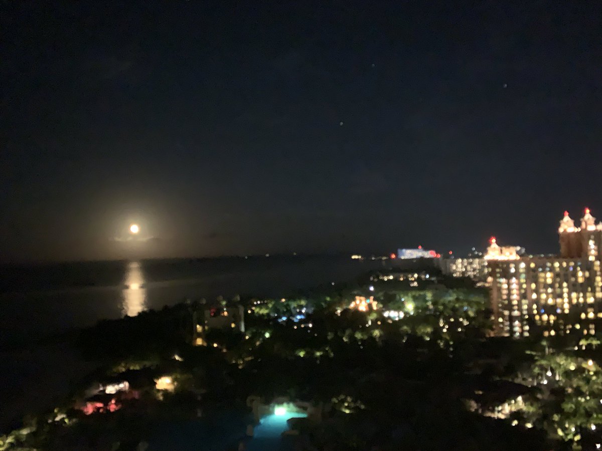 MatthewLi2020's tweet photo. 😀 https://t.co/oCynTEoqrc