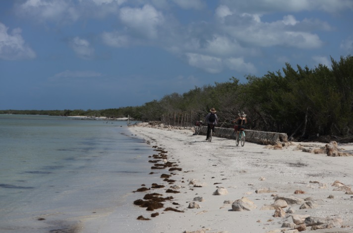Holbox, el paraíso ecosustentable de México bit.ly/3e9Nvyf
#MaletadeViajes #Turismo
#aventuras #viajeros #viajes #Travel <a href="/AHolbox/">Asociación Hoteles de Holbox</a> <a href="/VisitHolbox_MX/">Holbox</a>  <a href="/LasNubesHolbox/">Hotel Las Nubes</a>