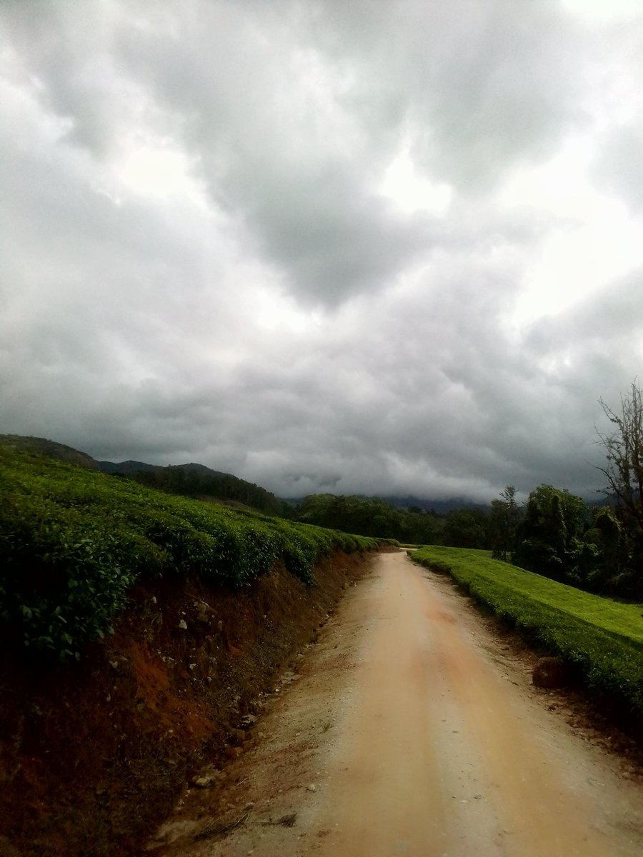 eTourZim's tweet photo. Eastern Highlands🇿🇼 https://t.co/xnLL5LGwFx