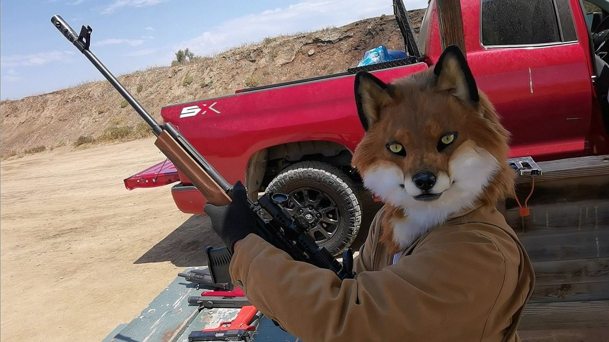 CATHODE 🦊 tweet media