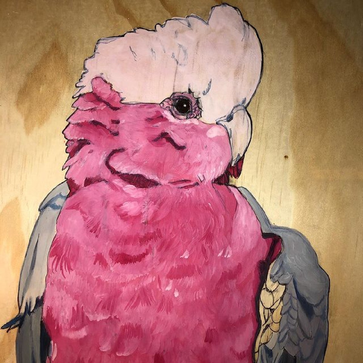 AdelaideAirport's tweet photo. NATIVES, a collection of Australian extinct, endangered, common, flora, fauna paintings by South Australian artist, Katie Sandison is now on show at Adelaide Airport ✈️

The exhibition can be viewed at Qantas Gate 26 &amp; Virgin Gate 14 until 5 March 22.

#AdelaideAirport #EnjoyADL https://t.co/6TlF3ESWPO