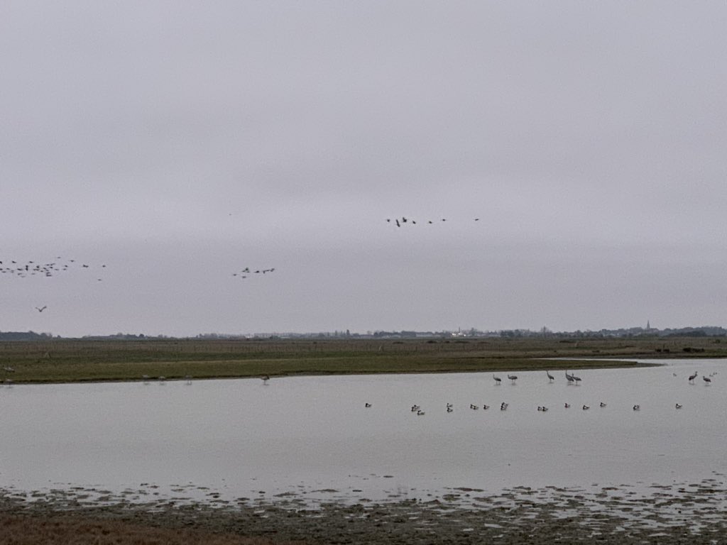 acharpentier85's tweet photo. 🔹 Visite de la Réserve Naturelle de Saint Denis du Payré
🔹 Obseravtion de la structure du marais desséché à St Michel en l’Herm et à l’Aiguillon sur mer. 
🔹Réflexion sur les digues à Puyravault
🔹Attribution du label « Valeur Parc Naturel Régional du marais poitevin » https://t.co/ZBJujexUlb