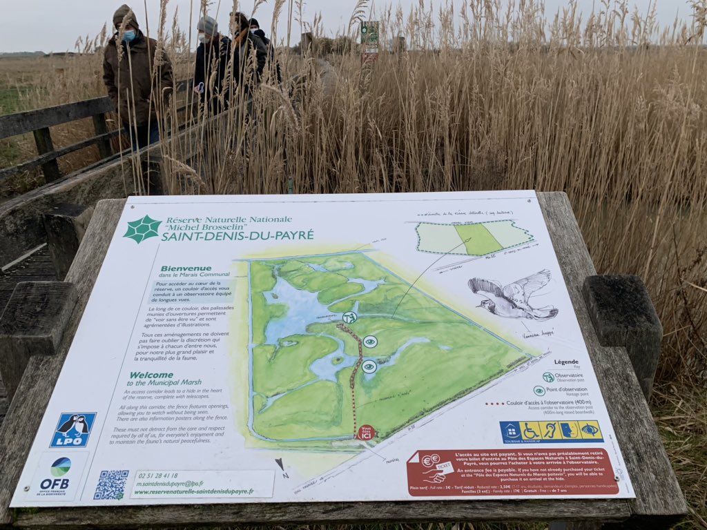 acharpentier85's tweet photo. 🔹 Visite de la Réserve Naturelle de Saint Denis du Payré
🔹 Obseravtion de la structure du marais desséché à St Michel en l’Herm et à l’Aiguillon sur mer. 
🔹Réflexion sur les digues à Puyravault
🔹Attribution du label « Valeur Parc Naturel Régional du marais poitevin » https://t.co/ZBJujexUlb