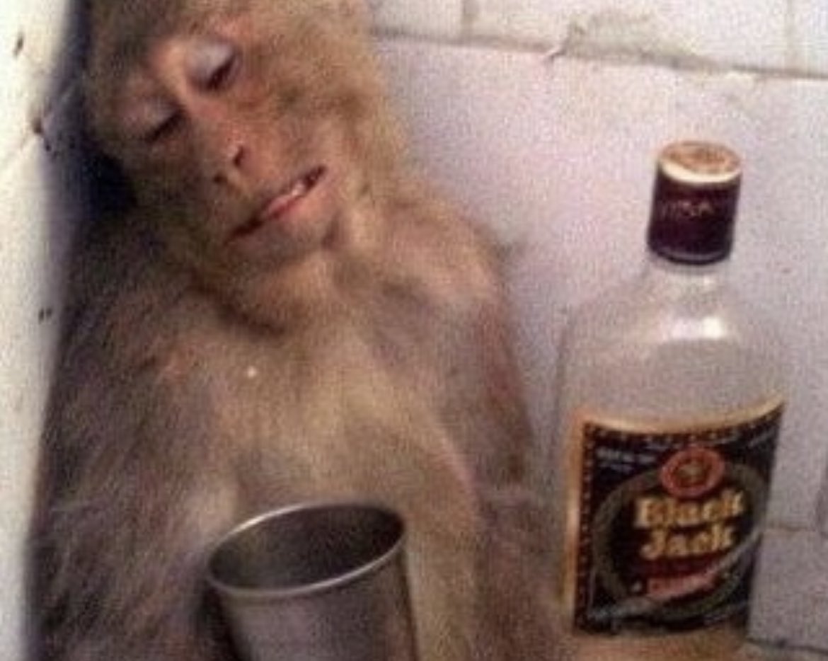 The Monkey Monday (@TheMonkeyMonday) / Posts / X