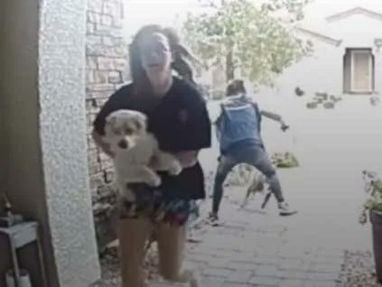 barstoolsports's tweet photo. Amazon Driver Saves A Girl And Her Dog From Being Attacked By A Pit Bull In Las Vegas. https://t.co/R9wUvaZNIZ https://t.co/gwYuT4tjEB