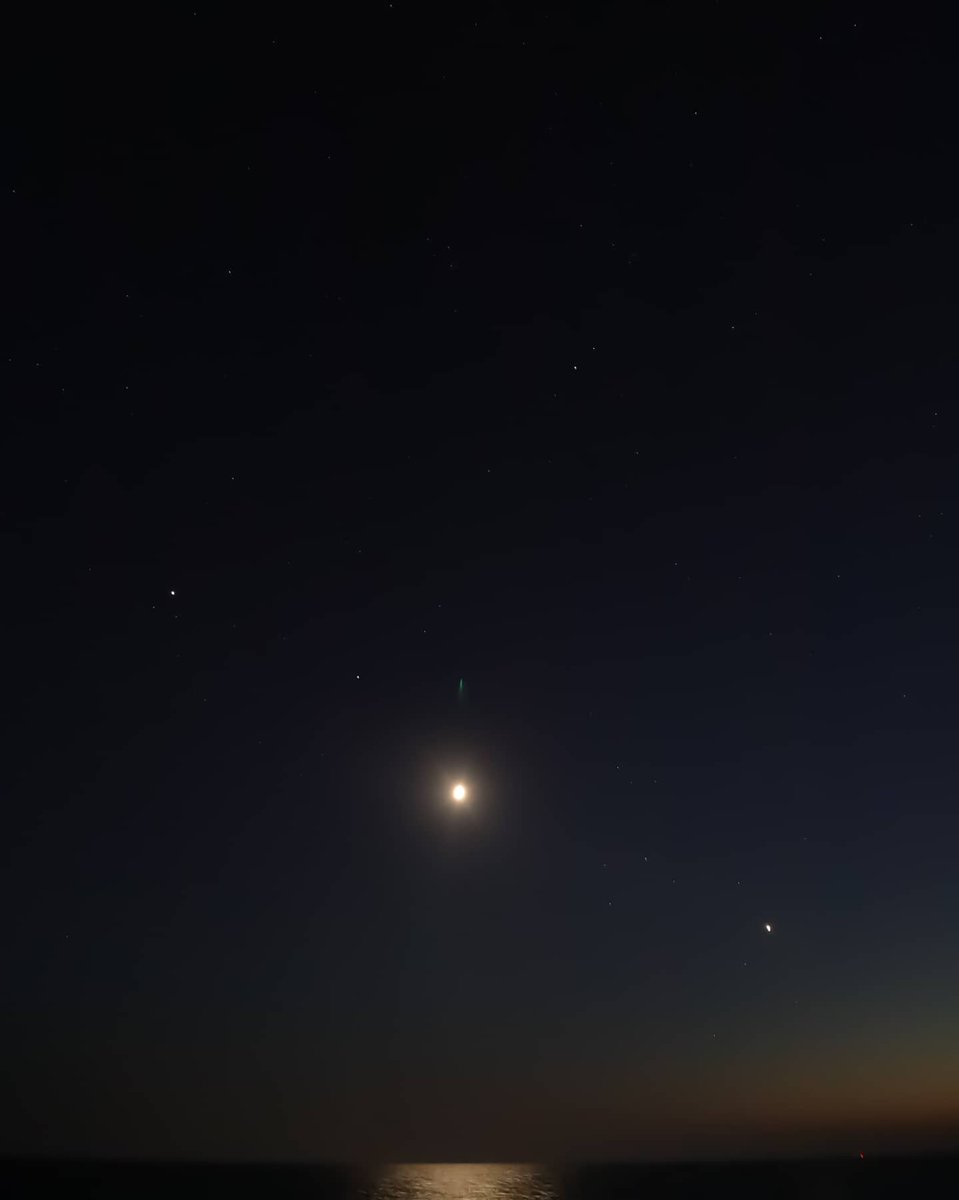 DoodleFK's tweet photo. @NASA this was taken November 9th 2021 from Cape Cod, MA, facing south. I've been trying to find someone that can tell me what this is??? My camera's focus peaking was picking up on the green streak so it is not lens flare. Thanks! https://t.co/Mm2M56aCGv