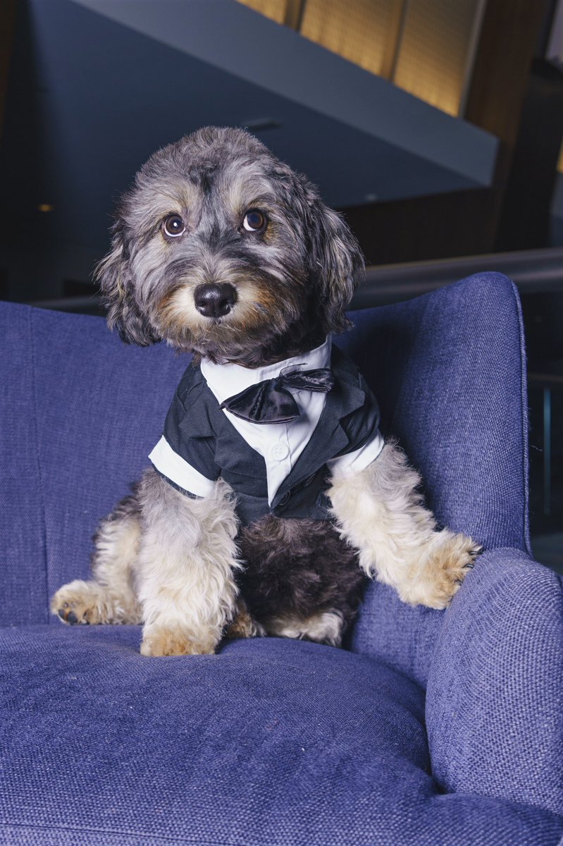 just want y’all to see my baby