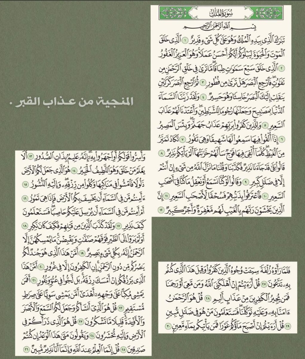 العلياء 🇰🇼 tweet media