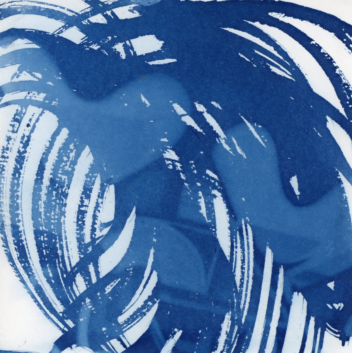 johansonphoto's tweet photo. Start your #newyear right, with #art! Visit Gary Manuel Salon in #Seattle's #PioneerSquare in January for the @CoCaSeattle #ShowWalls group show, featuring yours truly. Open salon hours, plus 5-8 p.m. on January 6 for the #firstthursdayartwalk. #cyanotype https://t.co/QqnUdfmFwj https://t.co/xmmj1xtb9J