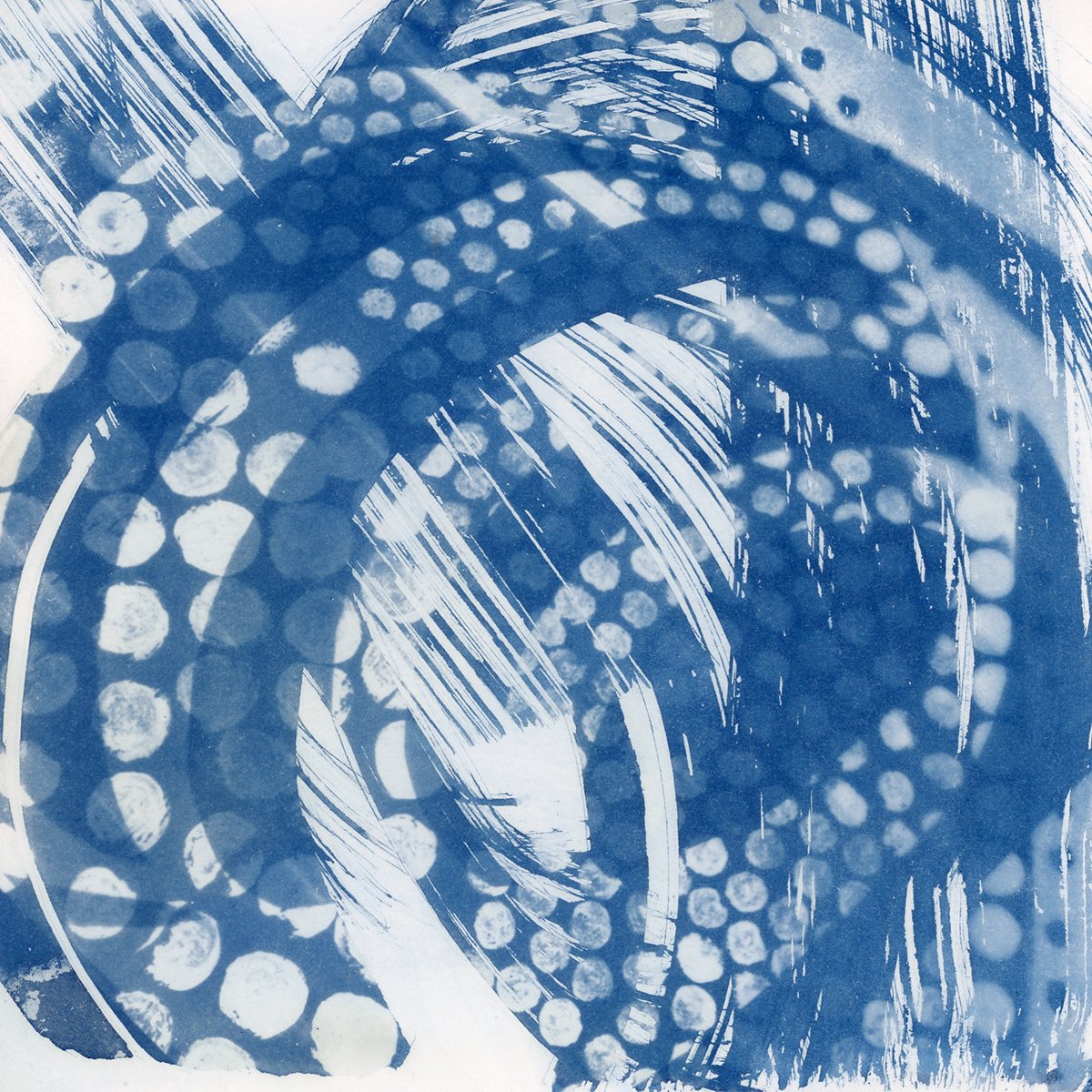 johansonphoto's tweet photo. Start your #newyear right, with #art! Visit Gary Manuel Salon in #Seattle's #PioneerSquare in January for the @CoCaSeattle #ShowWalls group show, featuring yours truly. Open salon hours, plus 5-8 p.m. on January 6 for the #firstthursdayartwalk. #cyanotype https://t.co/QqnUdfmFwj https://t.co/xmmj1xtb9J