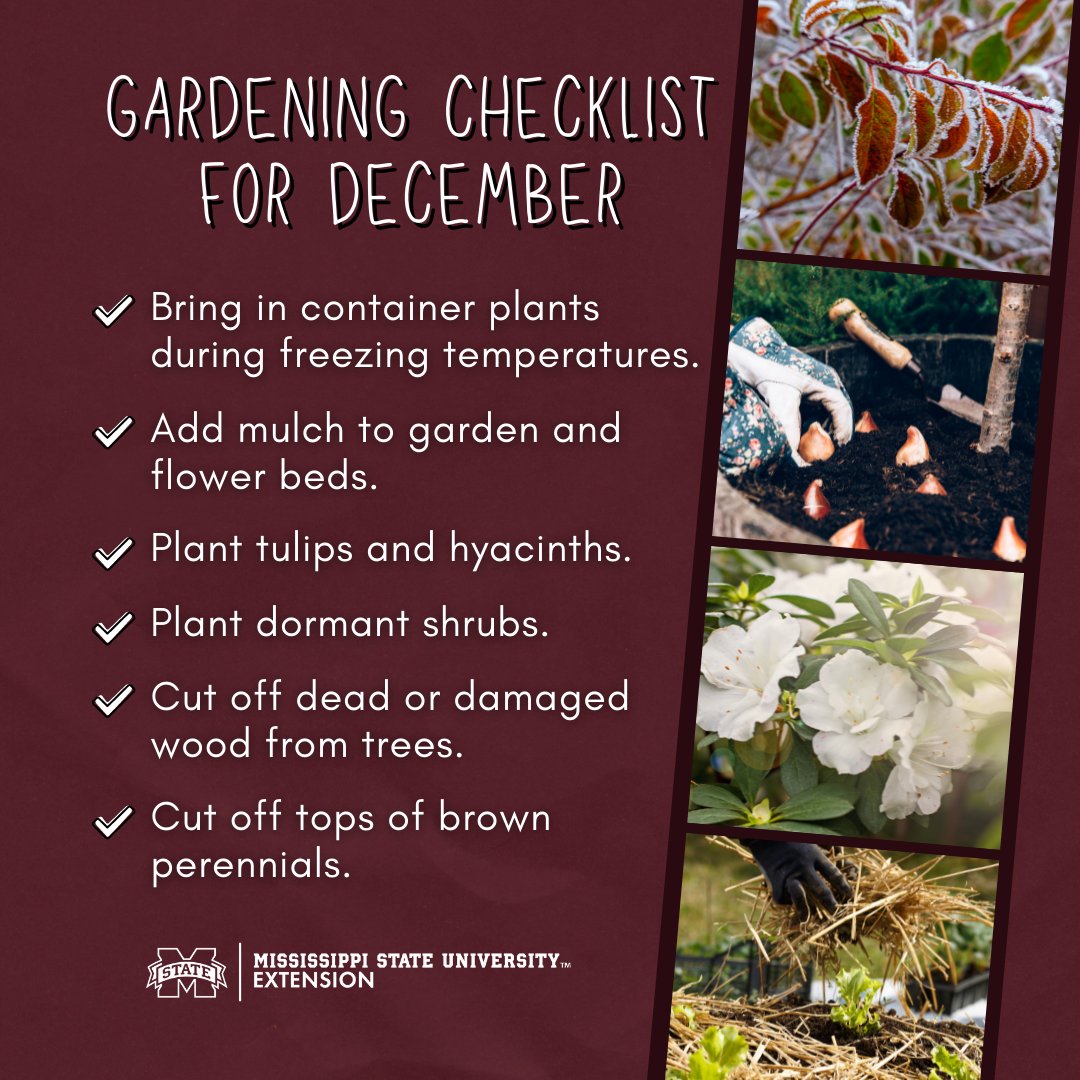 MSUExtService's tweet image. You've still got time to complete some of these gardening tasks before the end of the month!

👉More info: ow.ly/FbhT50HaYpl #ExtensionForRealLife #MSUext