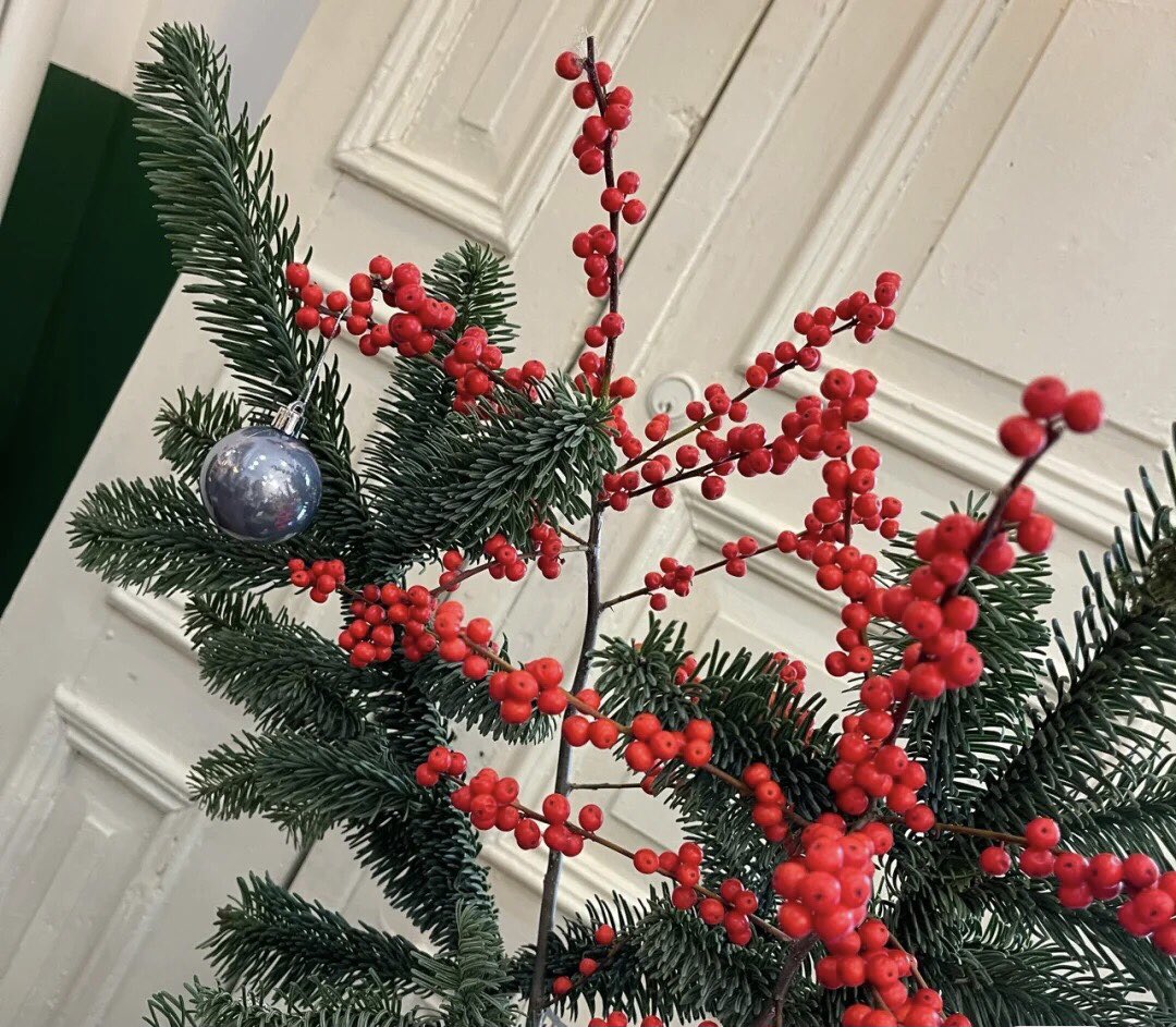 forgive975's tweet photo. Have a nice day and get ready for Christmas.🥰 https://t.co/y42Z5v49FH