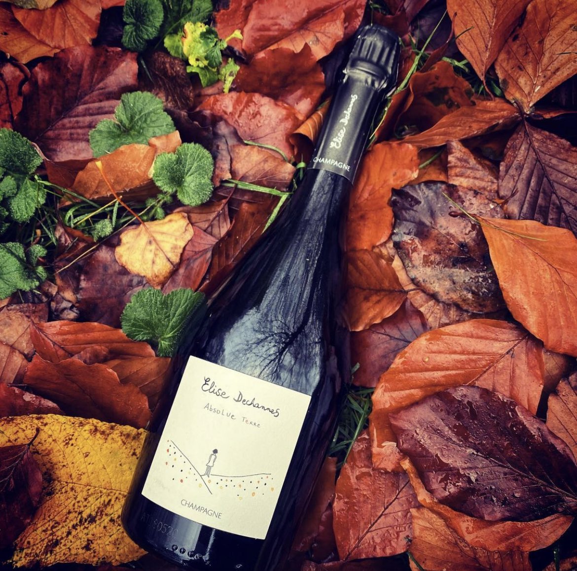 Absolue Terre 2017
*
Ett riktigt stort vin, endast 436 flaskor producerade!
Sällsynt cuvée från Elise’s unika prestigeserie ”Les Confidentielles”
Vingårdschampagne med 100% av Les Riceys unika Pinot Noir som legat på amfora av terrakotta

Pris: 852:-

Läs: winescout.se/produkt/absolu…