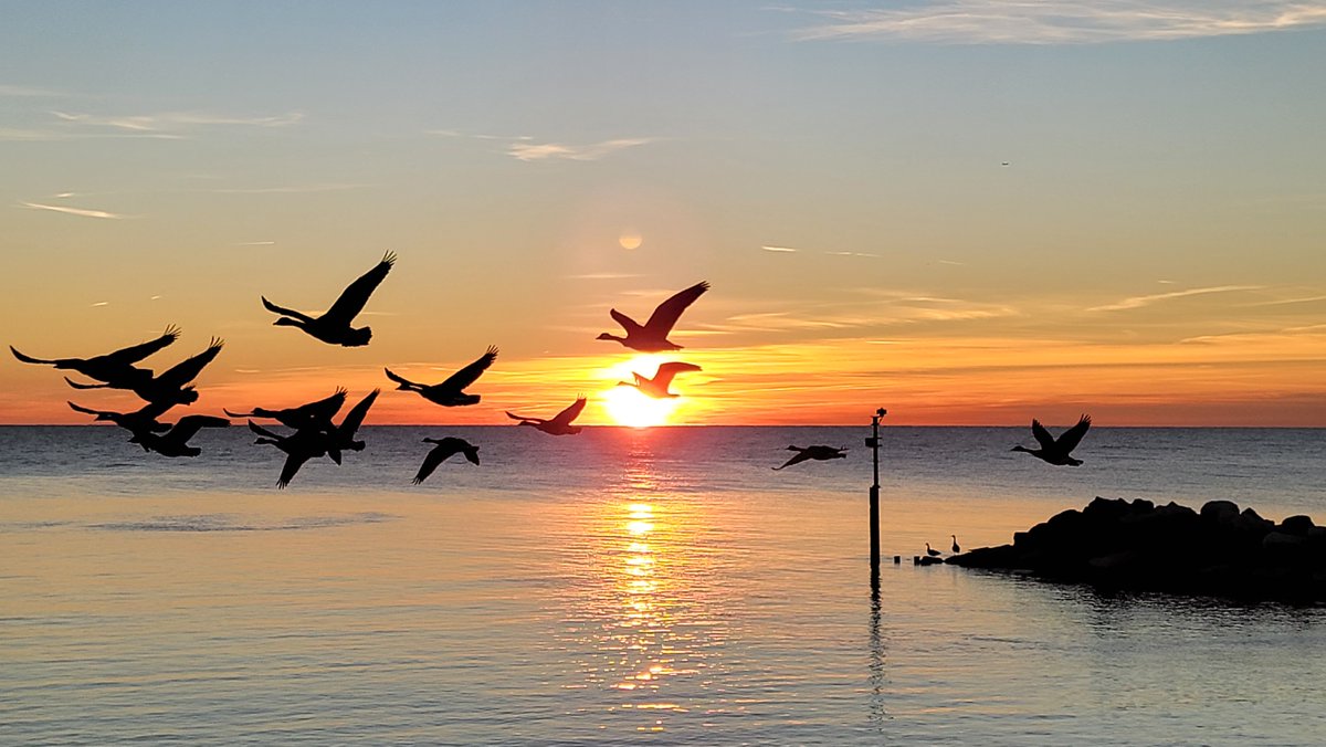 Academy911's tweet photo. @CherylScottWX @ABC7Chicago The absence of snow lends itself to more opportunities of sunrise over Lake Michigan in Chicago, and you never know what may see by the dawns early light.
#weatherwatch #watchweather #weatherspotter #weatheringwithyou #cherylscottwx #weatheryoulikeitornot #lakemichigan #Chicago https://t.co/JWUlxXVMTP