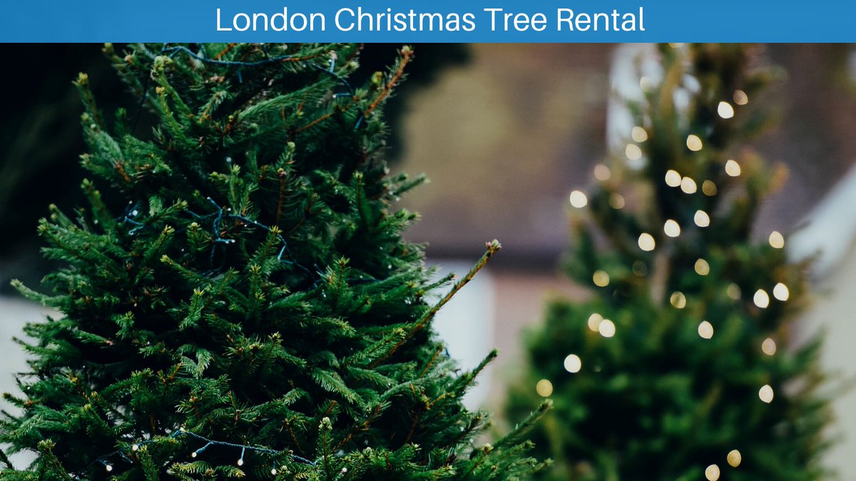 wetheclimate's tweet photo. #Monday, on the #Climate Daily, #8BillionTrees.com, #London Christmas #Tree Rental, More Rent-a-Xmas Tree Outlets and Climate Change #Champ, Sarah Lazarovic! @sarahLazarovic
Visit us at: https://t.co/8ZfVykXqBs https://t.co/4Lxp2q1VOt