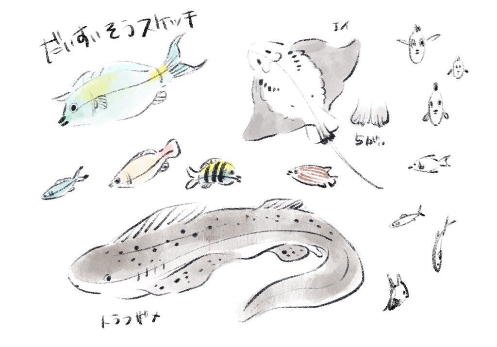 お魚スケッチ 