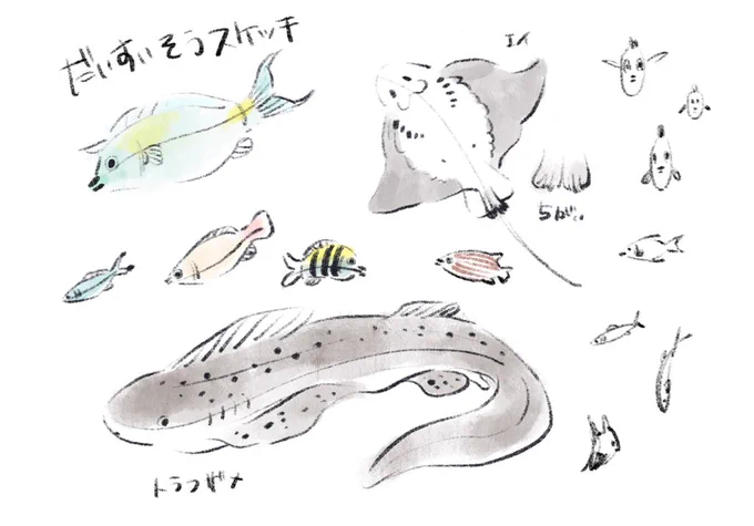 お魚スケッチ 