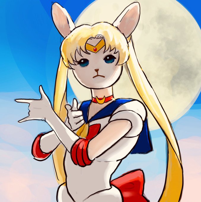 「sailor moon」Fan Art(Latest)｜3pages