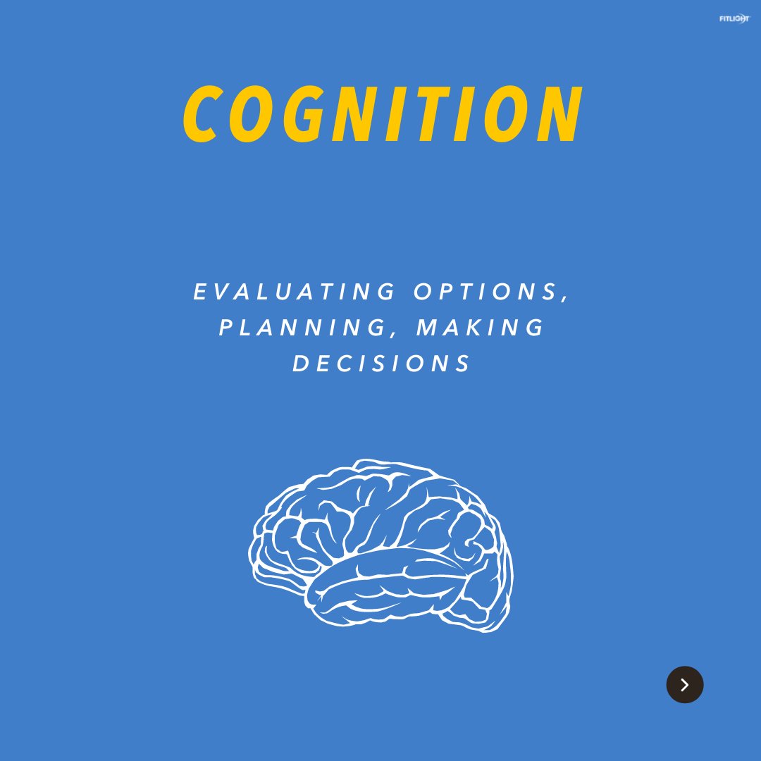 Fitlight's tweet image. BRAIN TALK

Reaction Process To Stimulus 

1️⃣  Sensory Stimulation
2️⃣  Perception 
3️⃣  Cognition
4️⃣  Execution 

Train harder and smarter with FITLIGHT® this season. 

✍️  @thediamondbosss 

#FITLIGHT #Fitlighttraining #SeeTheLight #Cognitive #BrainTraining  #NeuroPerformance