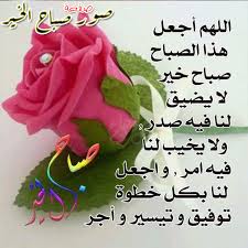 وهيب علي tweet media