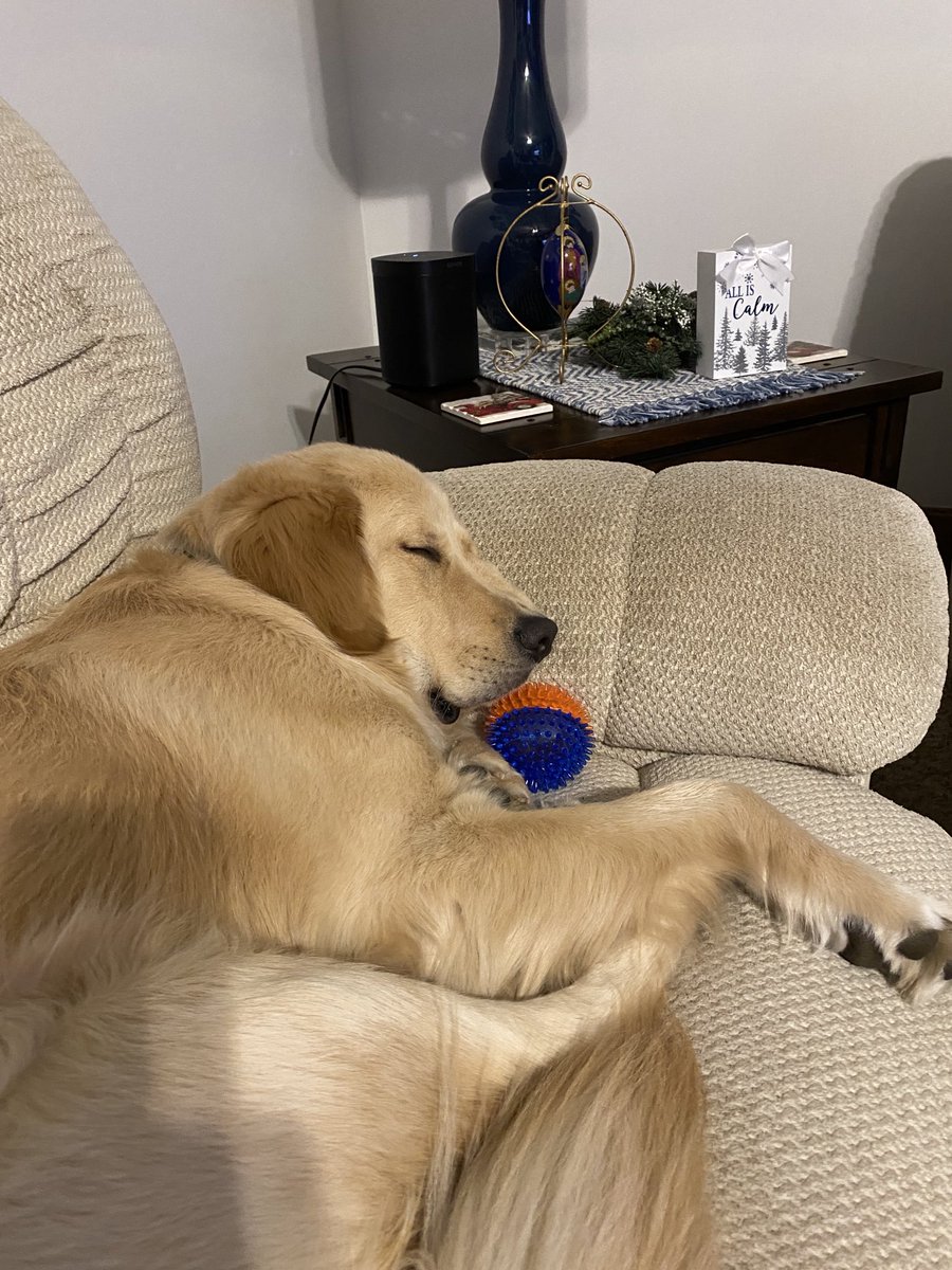 hershie157's tweet photo. “I’m dreaming of a white Christmas”. My boy and his toy! https://t.co/OsWjNc4M7a