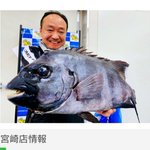ツイートに含まれる画像