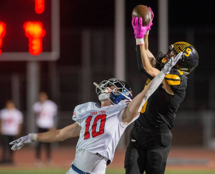 Dan Albano tweet media