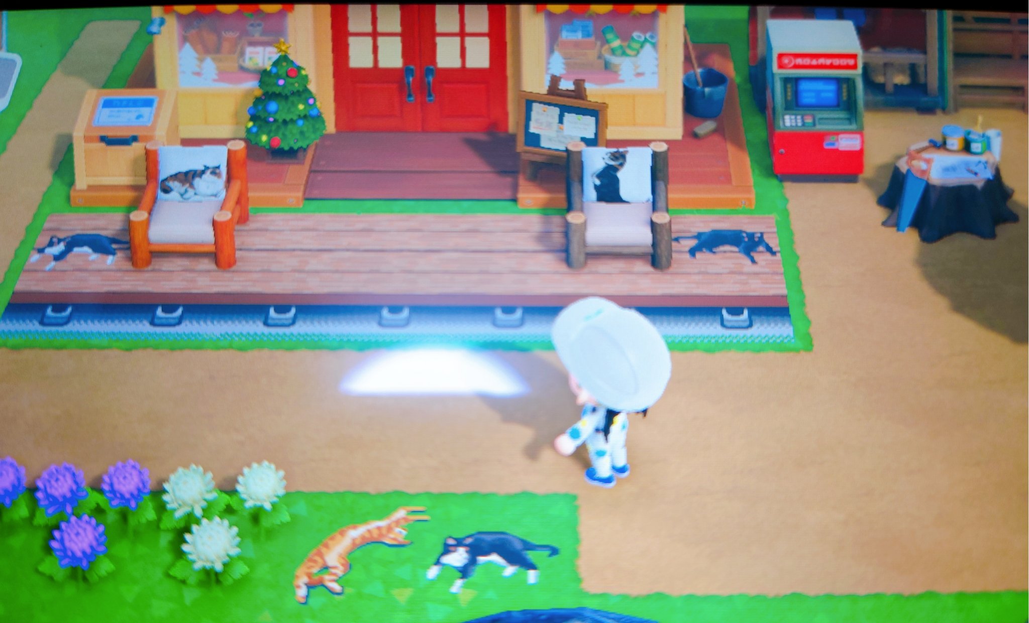 猫村にゃんち みけむぎちゃん ちょましまのあつ森 住民やりとりにしか使ってないけどw の島にお借りしてる猫と犬のマイデザ使わせてもらってるんだけど もっともっと猫まみれにしたいなぁ 犬もリアルな感じなのの種類がもっとほしい T Co Hgrs4qmnir