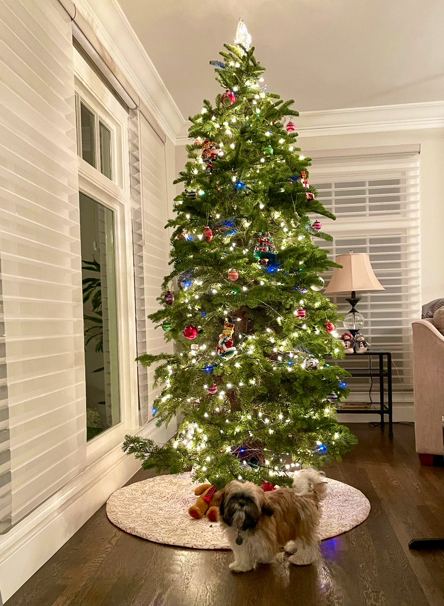 Wishing you all a very happy holidays and a joyful, healthy new year! ✨