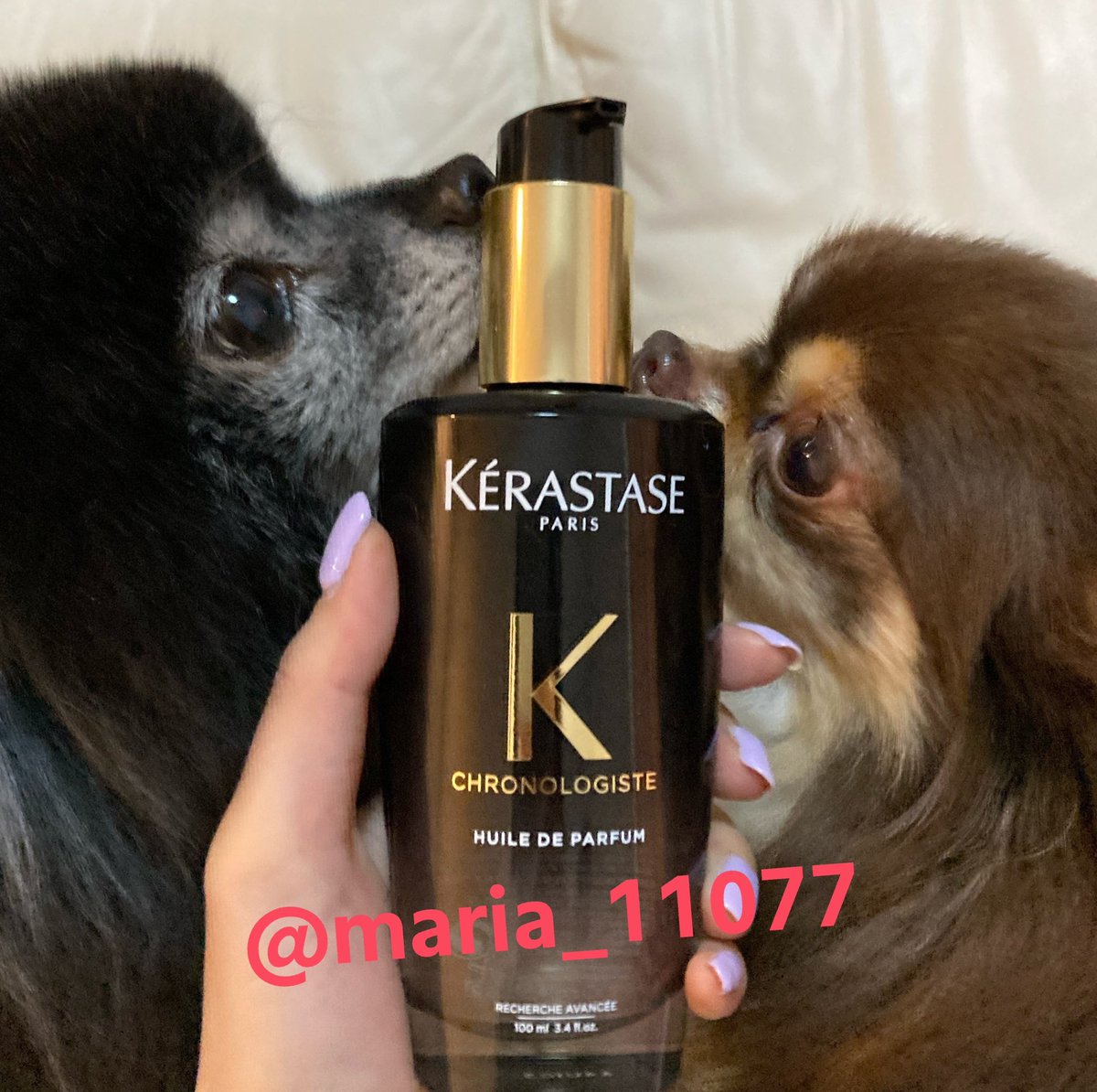 maria_11077's tweet photo. 今日は美容day♪
もうずーっとこのKERASTASEのクロノロジストシリーズ使ってるけど
スーパーサラ毛になるし、お上品な香りで愛用中✨
他のシリーズより、クロノロジストはお値段高めだけど、ケラスターゼの最高峰のシリーズみたいで、これ使うと他のが使えない!
#KERASTASE
#CHRONOLOGISTE https://t.co/9oHH44X16l