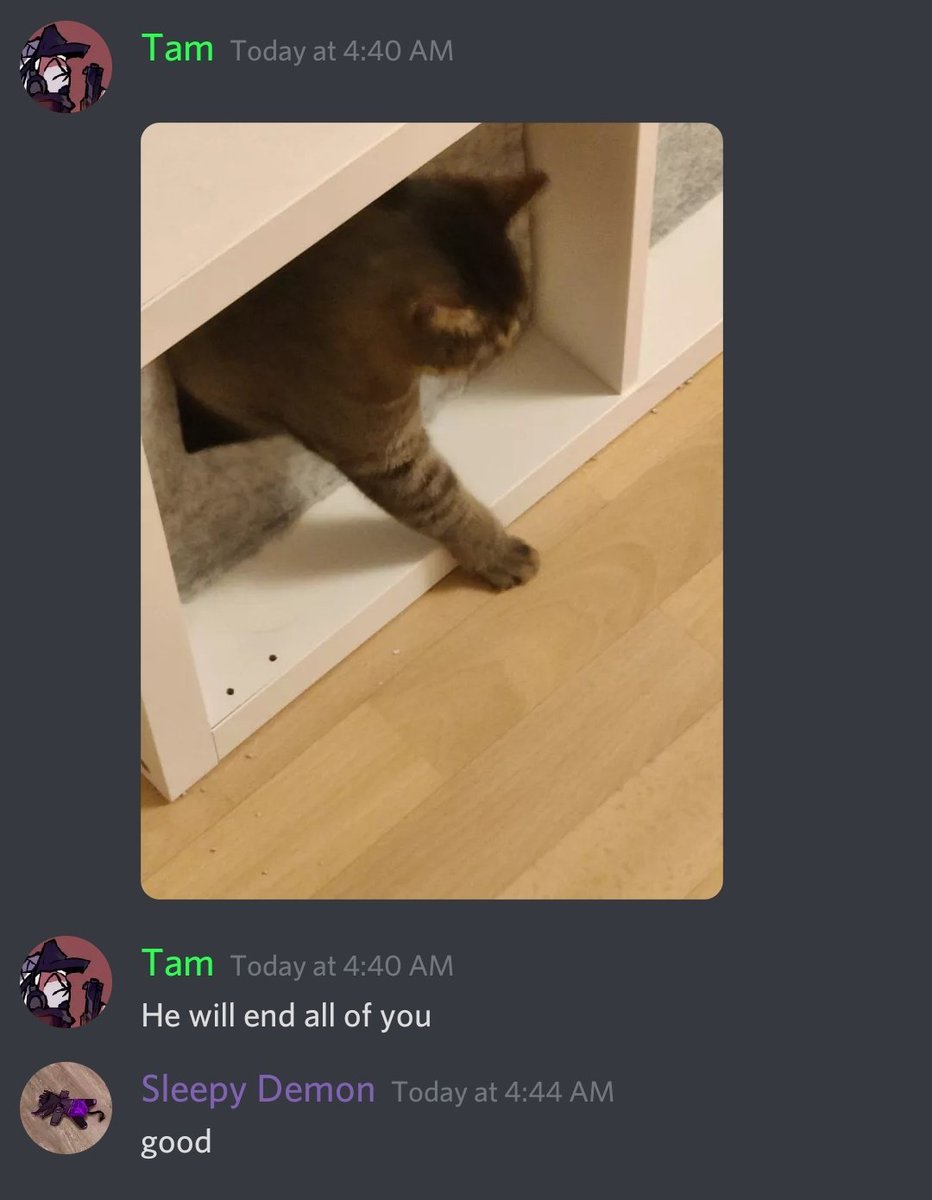 TamBrush tweet media