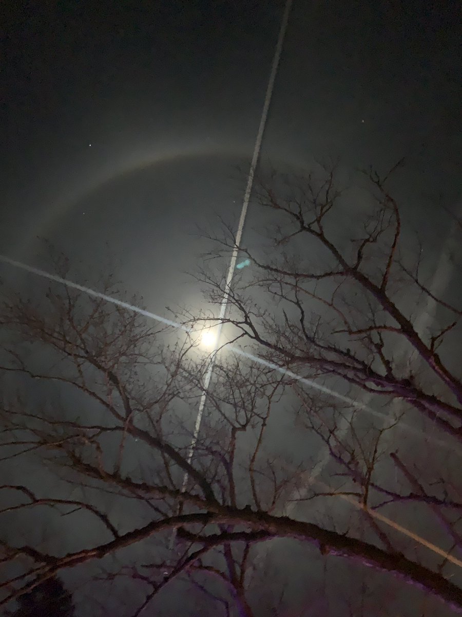 Elizabeth Houseman (On Hiatus) tweet media