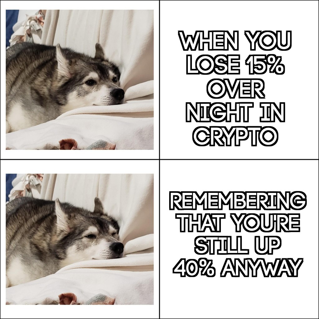 DANKMLGMEMES_making_PHATNFTDREAMS (@phatnftdreams) on Twitter photo 