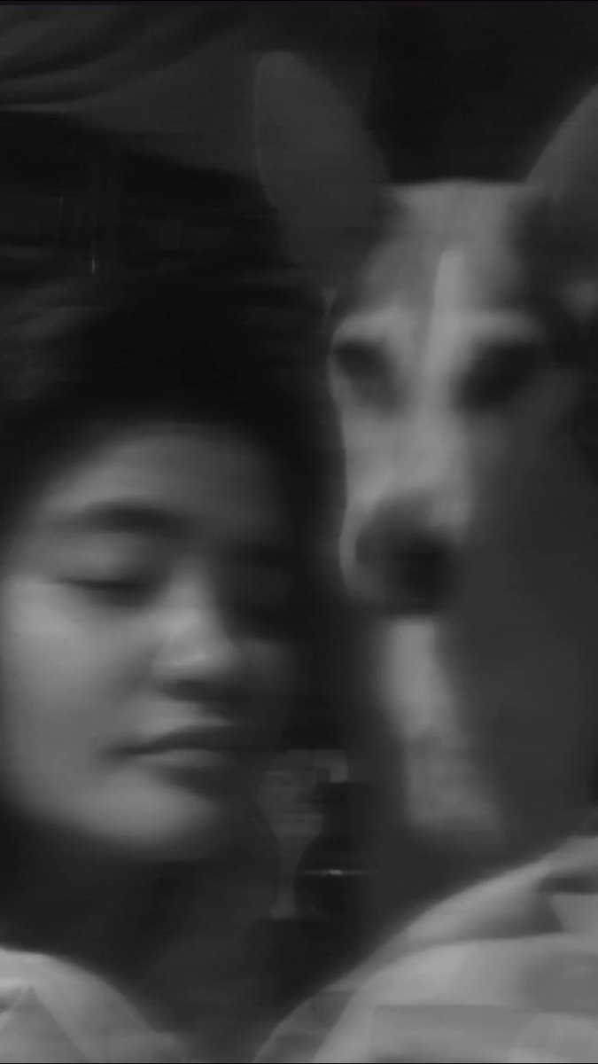 generosaaaa's tweet photo. 🐶💗 https://t.co/qwwqCi3Qg3