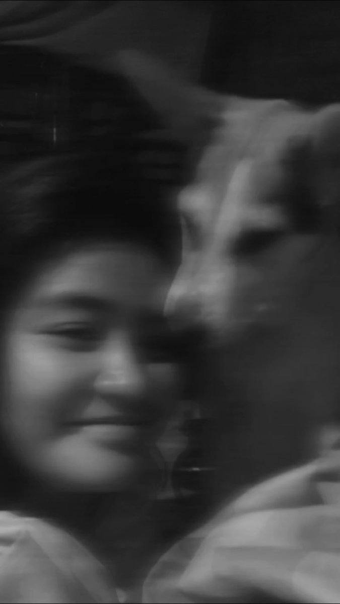 generosaaaa's tweet photo. 🐶💗 https://t.co/qwwqCi3Qg3