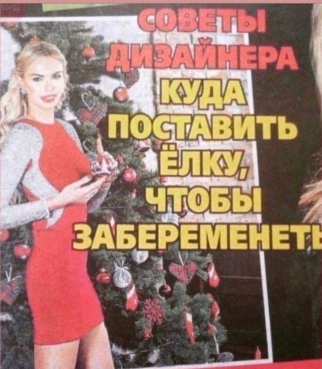 alёna tweet media